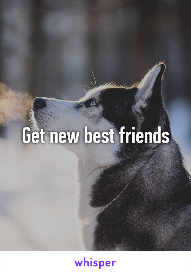 Get new best friends