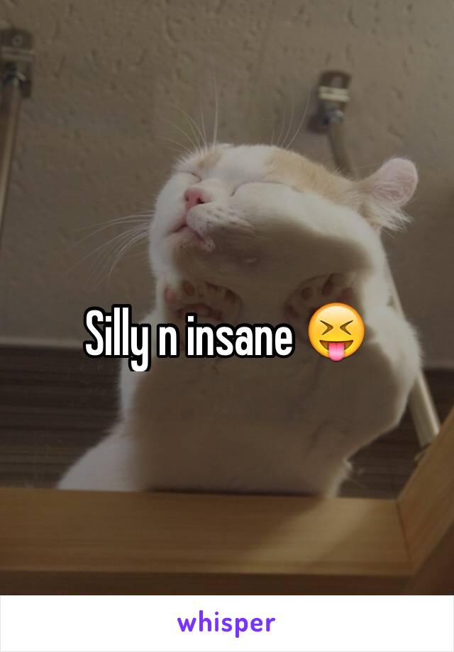 Silly n insane 😝