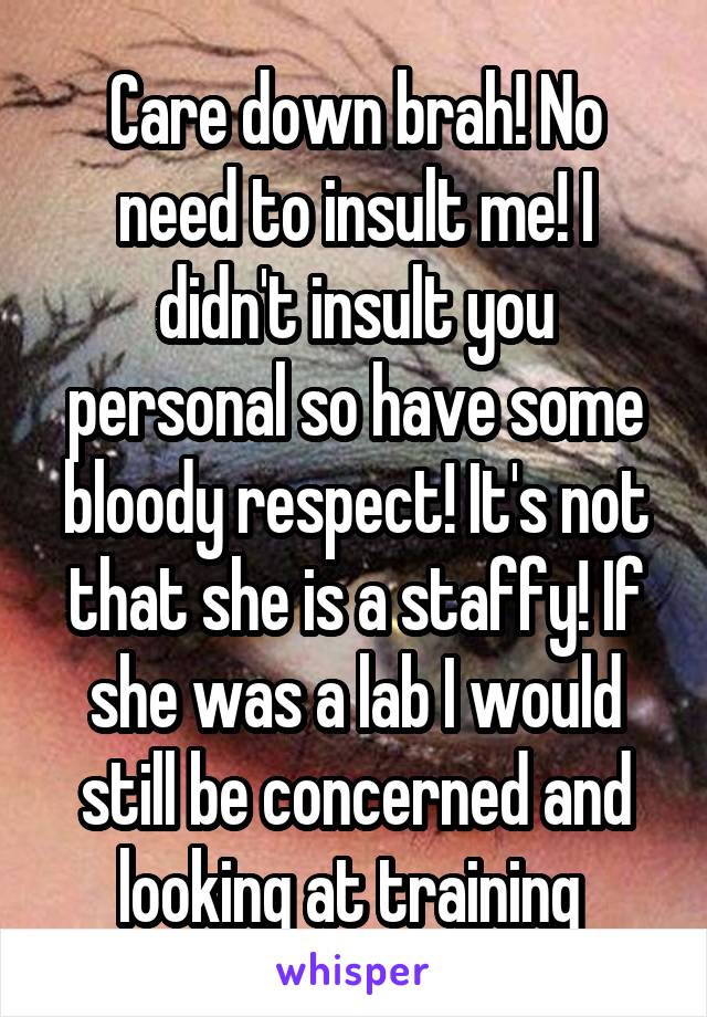 Care down brah! No need to insult me! I didn't insult you personal so have some bloody respect! It's not that she is a staffy! If she was a lab I would still be concerned and looking at training 
