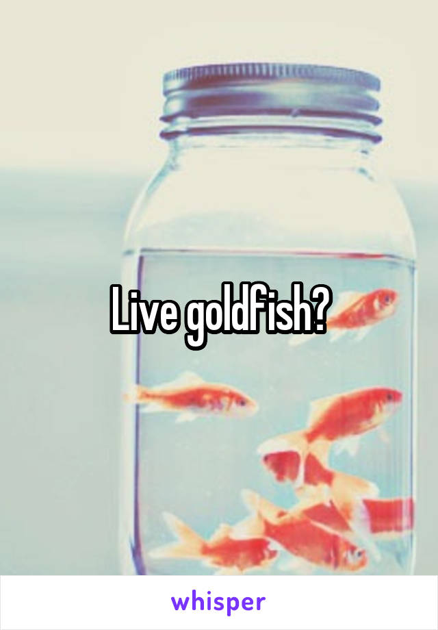 Live goldfish?