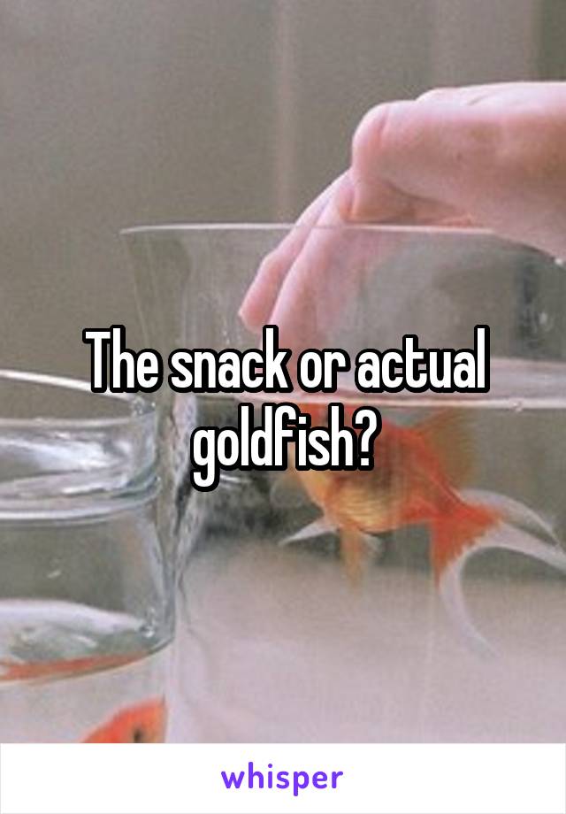 The snack or actual goldfish?