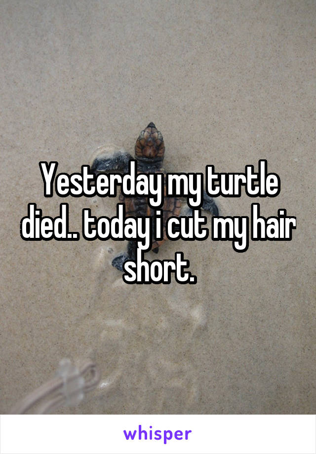 Yesterday my turtle died.. today i cut my hair short.