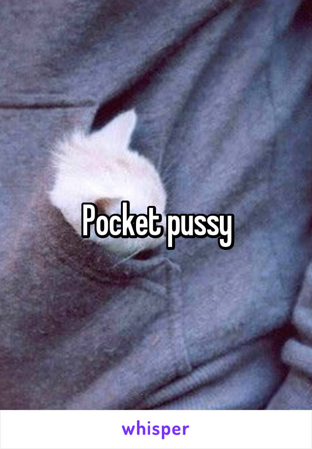 Pocket pussy