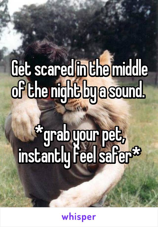 Get scared in the middle of the night by a sound. 

*grab your pet, instantly feel safer*