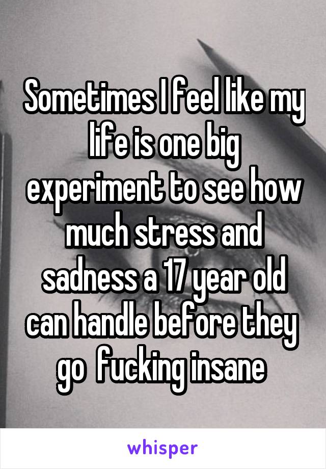 Sometimes I feel like my life is one big experiment to see how much stress and sadness a 17 year old can handle before they  go  fucking insane 