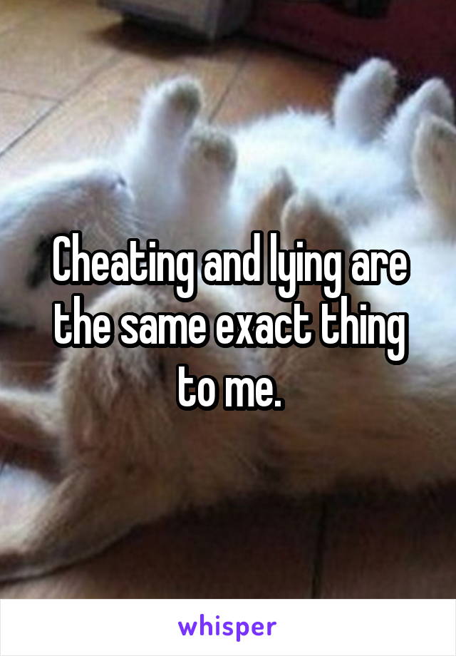Cheating and lying are the same exact thing to me.