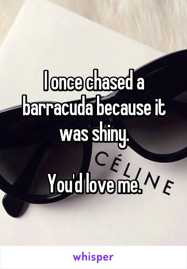 I once chased a barracuda because it was shiny.

You'd love me.