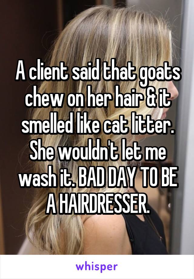 A client said that goats chew on her hair & it smelled like cat litter. She wouldn't let me wash it. BAD DAY TO BE A HAIRDRESSER.