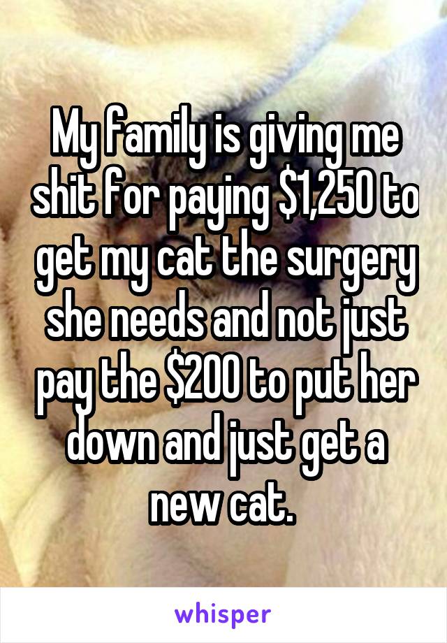 My family is giving me shit for paying $1,250 to get my cat the surgery she needs and not just pay the $200 to put her down and just get a new cat. 