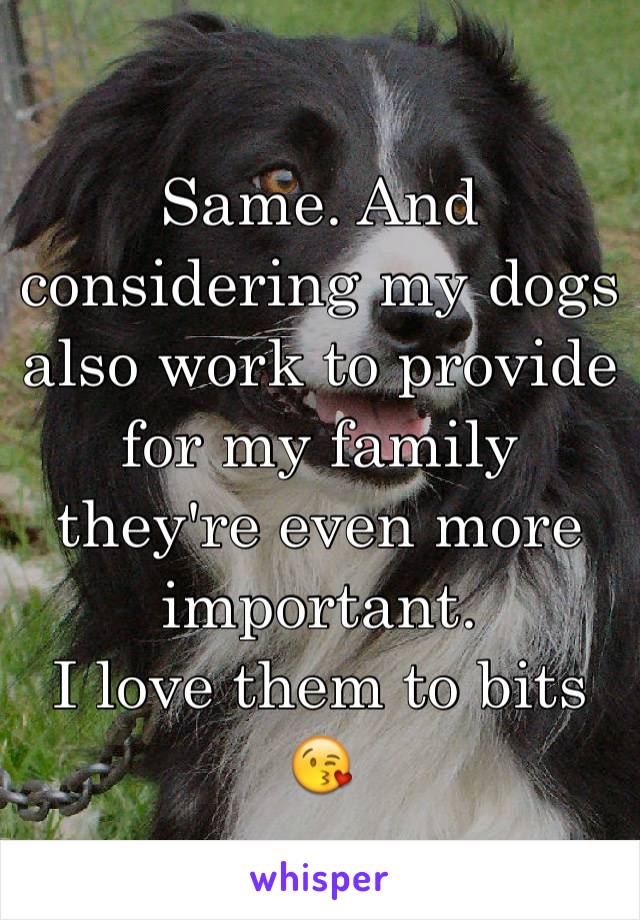 Same. And considering my dogs also work to provide for my family they're even more important.
I love them to bits 😘