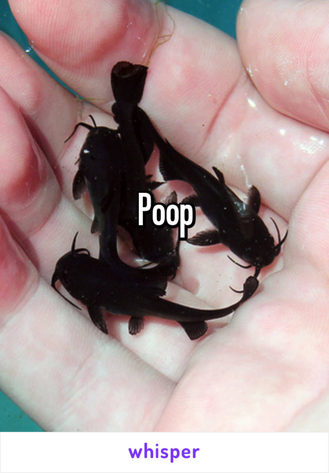 Poop
