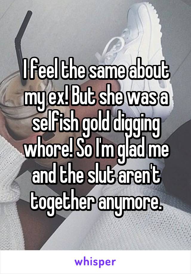 I feel the same about my ex! But she was a selfish gold digging whore! So I'm glad me and the slut aren't together anymore.