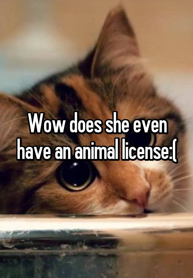 wow-does-she-even-have-an-animal-license