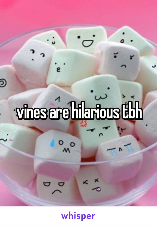 vines are hilarious tbh