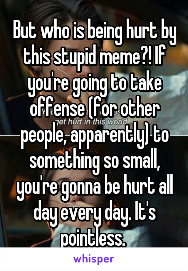 But who is being hurt by this stupid meme?! If you're going to take offense (for other people, apparently) to something so small, you're gonna be hurt all day every day. It's pointless. 