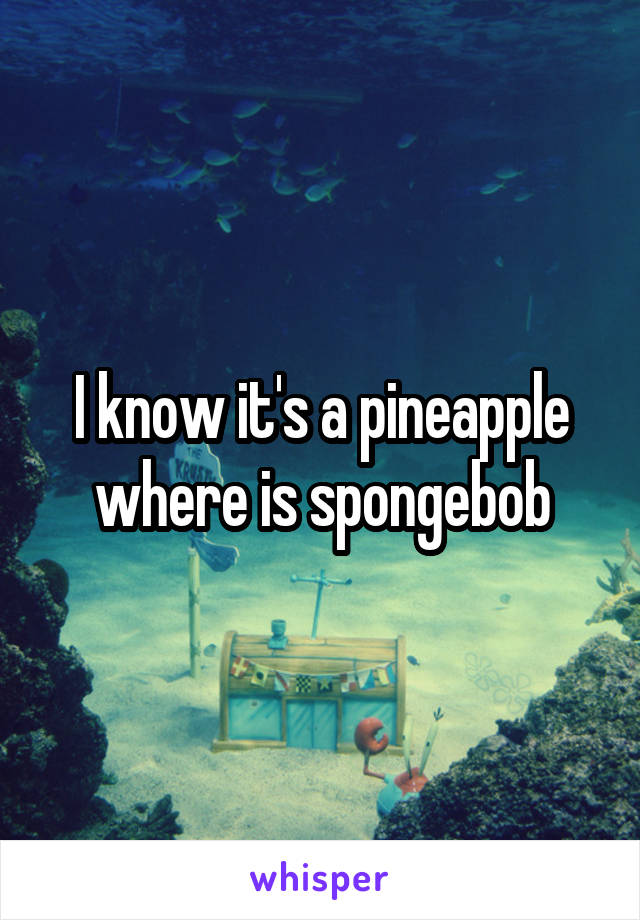 I know it's a pineapple where is spongebob