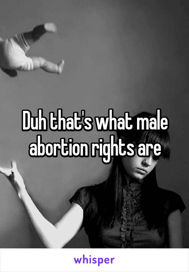 Duh that's what male abortion rights are