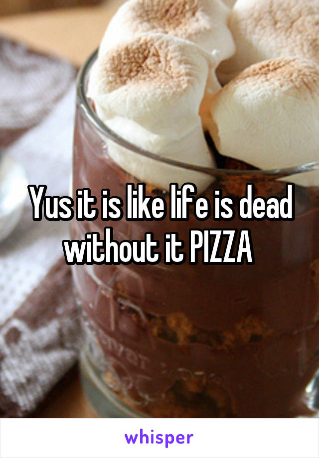 Yus it is like life is dead without it PIZZA 