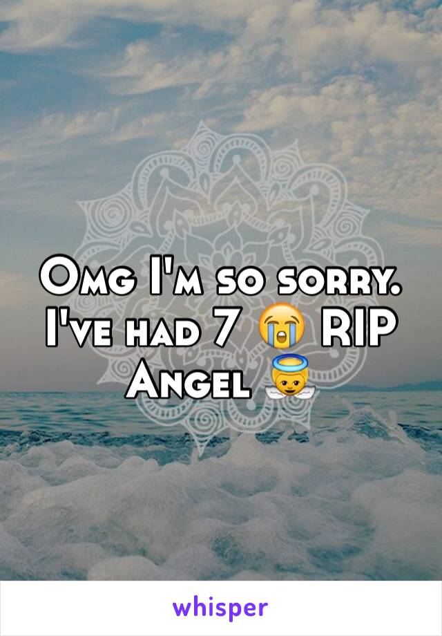 Omg I'm so sorry. I've had 7 😭 RIP Angel 👼 