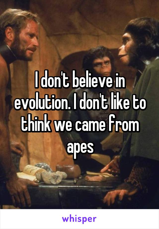 I don't believe in evolution. I don't like to think we came from apes
