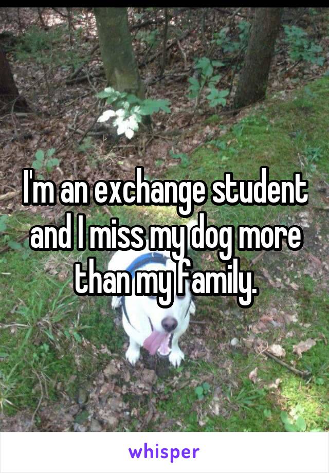 I'm an exchange student and I miss my dog more than my family.
