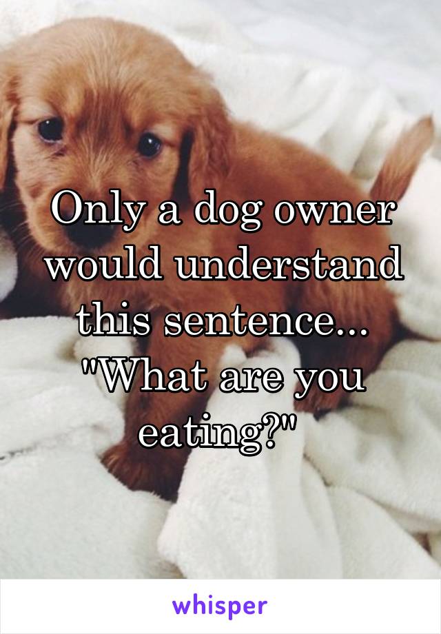 Only a dog owner would understand this sentence...
"What are you eating?" 