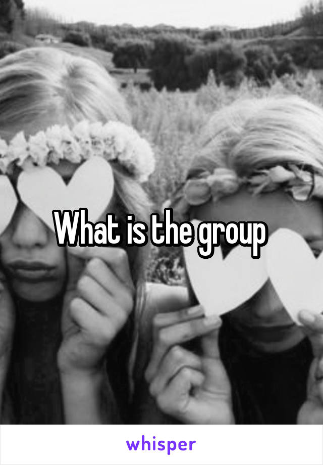 what-is-the-group