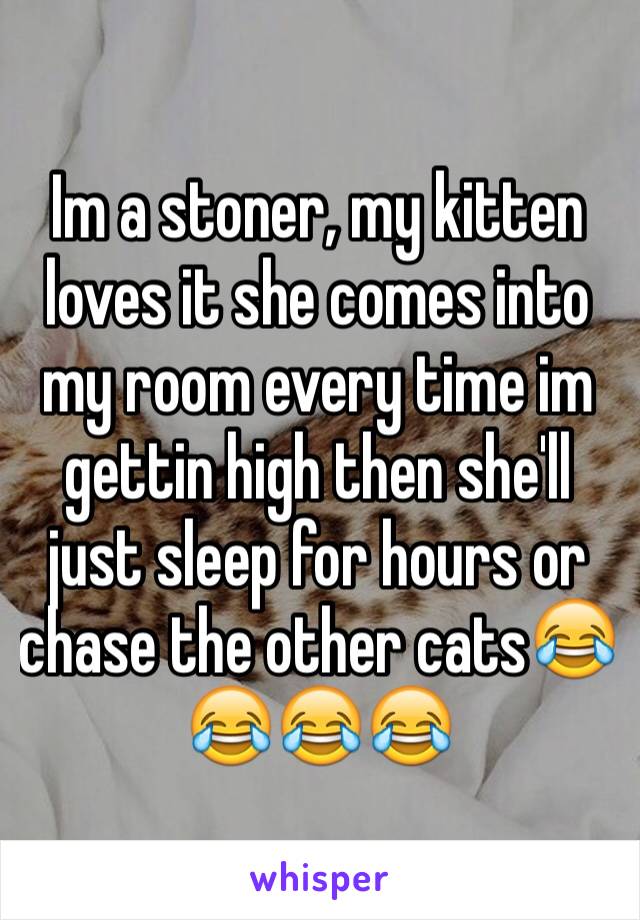 Im a stoner, my kitten loves it she comes into my room every time im gettin high then she'll just sleep for hours or chase the other cats😂😂😂😂