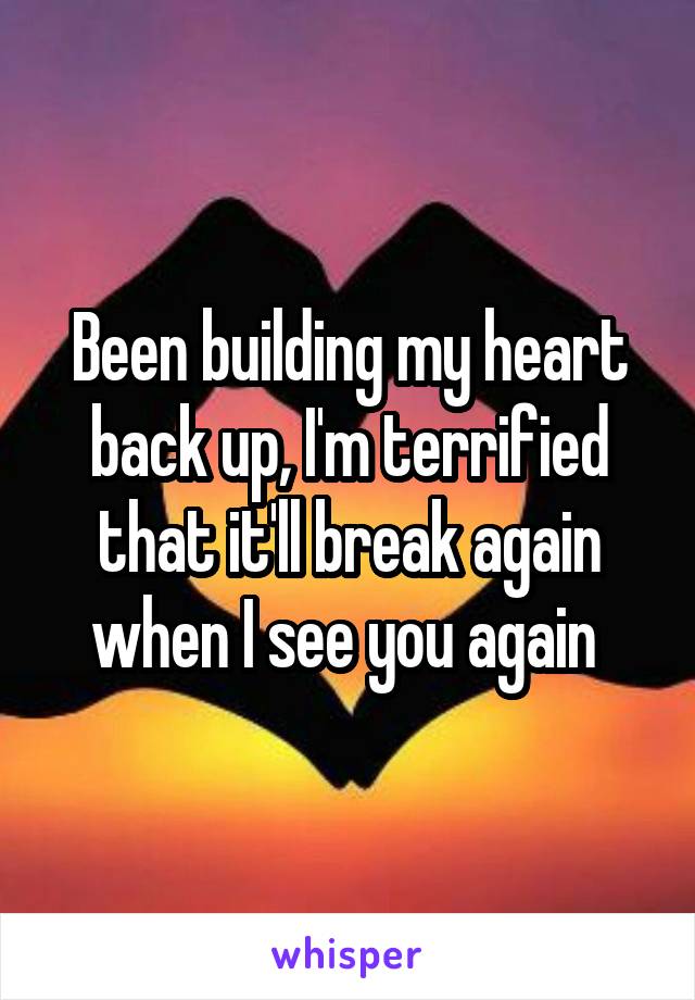 Been building my heart back up, I'm terrified that it'll break again when I see you again 