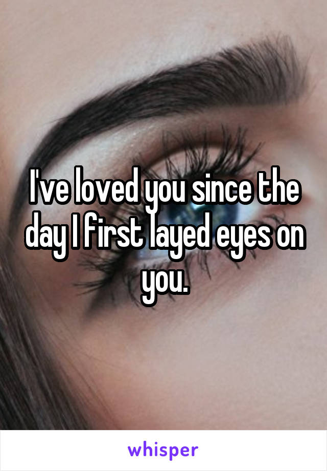 I've loved you since the day I first layed eyes on you.
