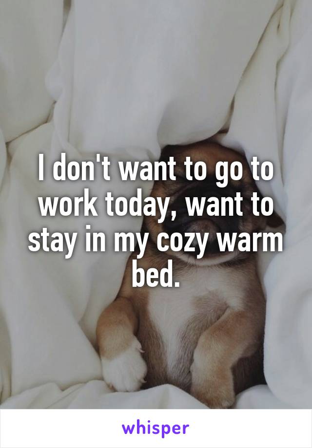 I don't want to go to work today, want to stay in my cozy warm bed.