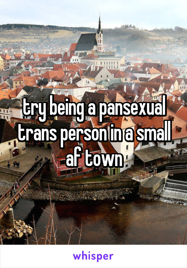 try being a pansexual trans person in a small af town