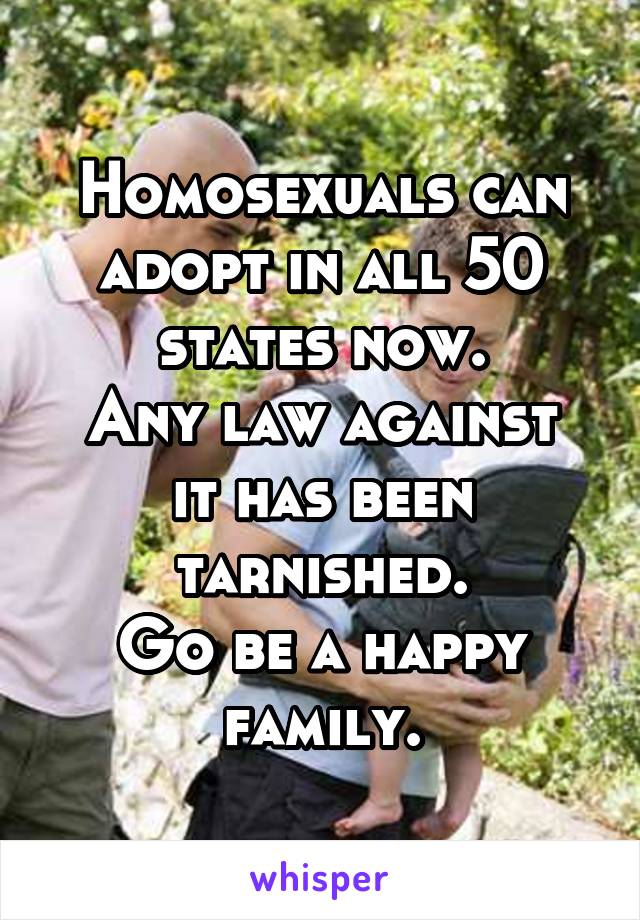 Homosexuals can adopt in all 50 states now.
Any law against it has been tarnished.
Go be a happy family.