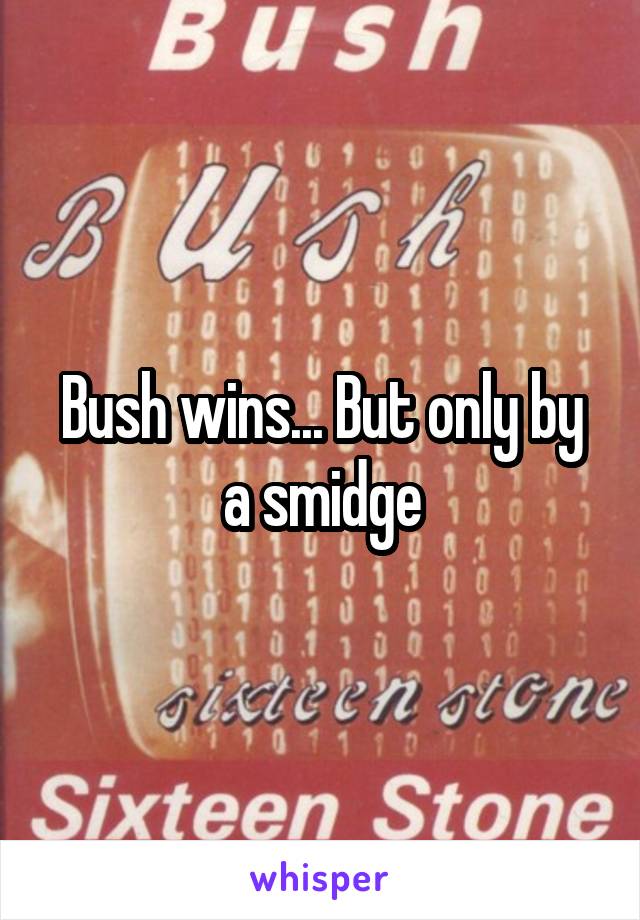 Bush wins... But only by a smidge