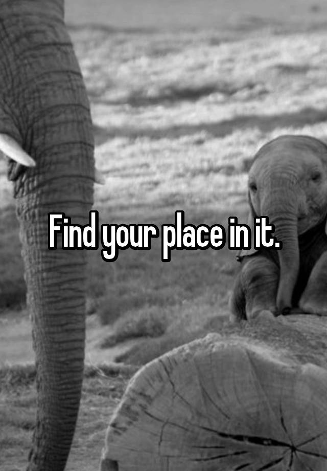 find-your-place-in-it