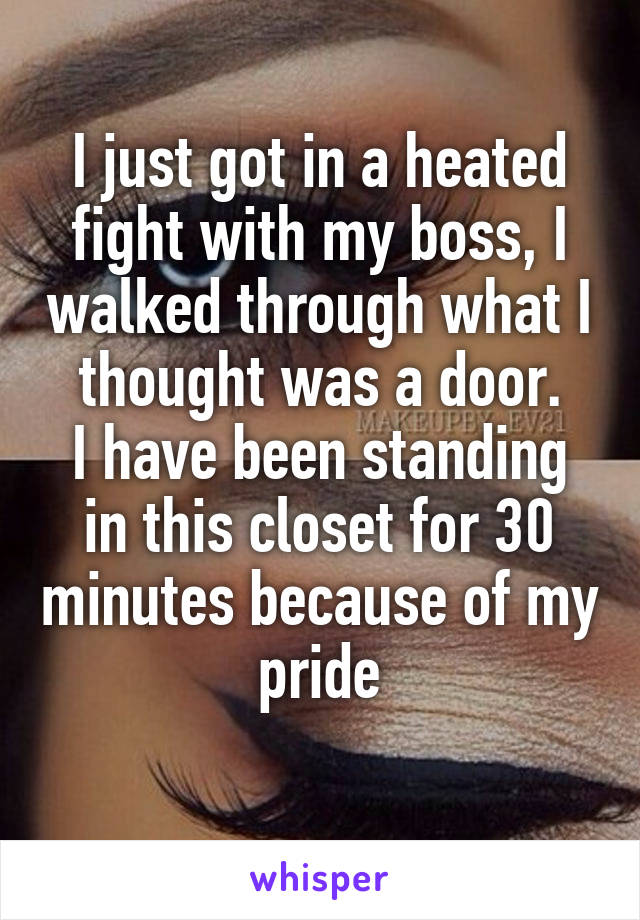 I just got in a heated fight with my boss, I walked through what I thought was a door.
I have been standing in this closet for 30 minutes because of my pride
