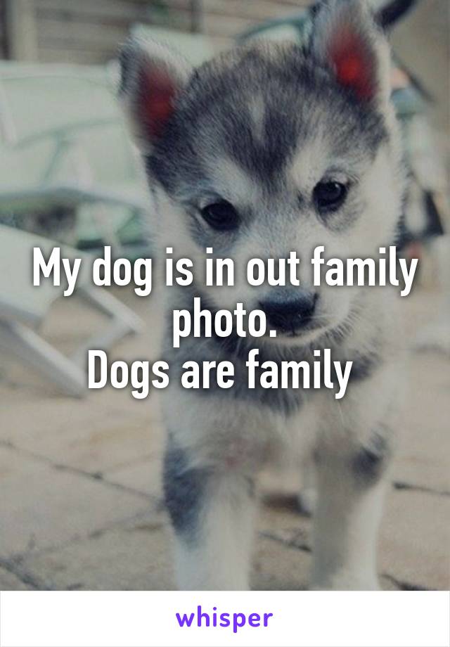 My dog is in out family photo.
Dogs are family 
