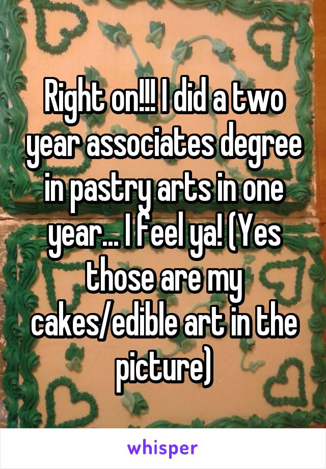 Right on!!! I did a two year associates degree in pastry arts in one year... I feel ya! (Yes those are my cakes/edible art in the picture)