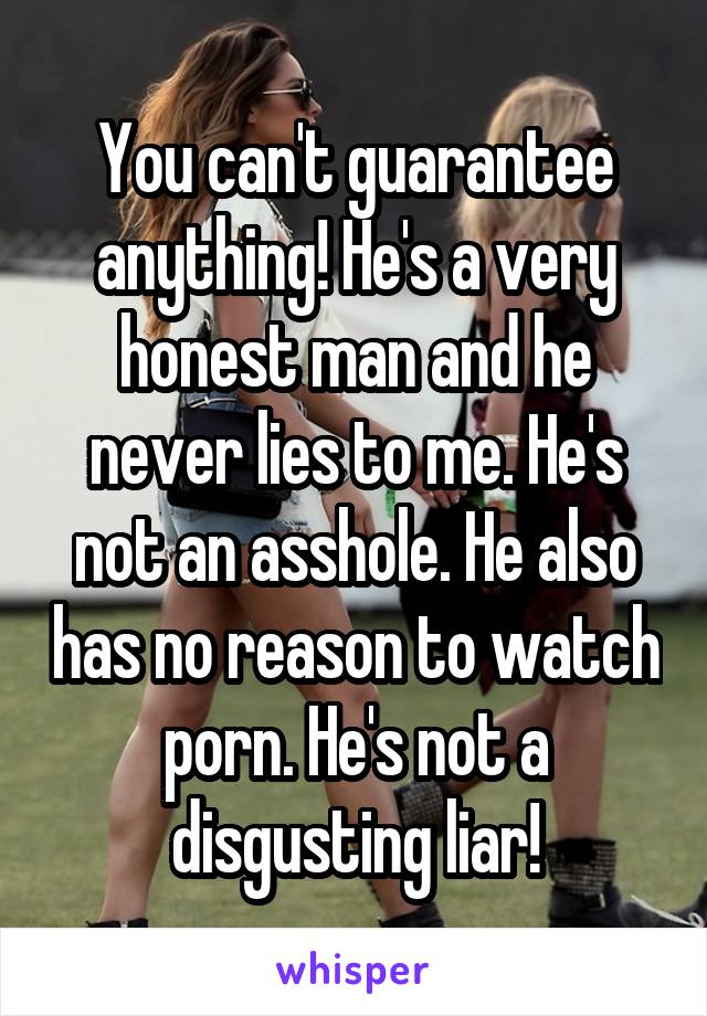 You can't guarantee anything! He's a very honest man and he never lies to me. He's not an asshole. He also has no reason to watch porn. He's not a disgusting liar!