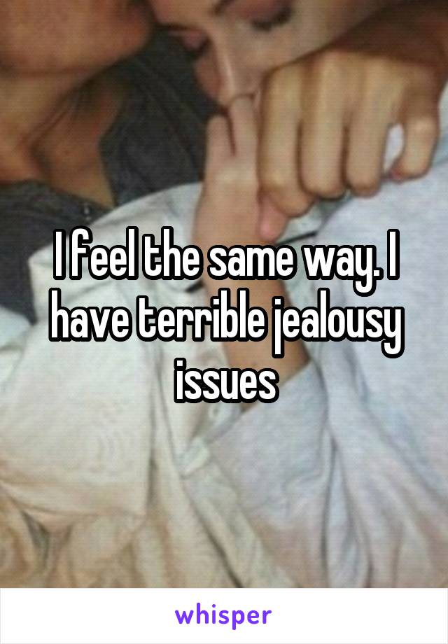 I feel the same way. I have terrible jealousy issues