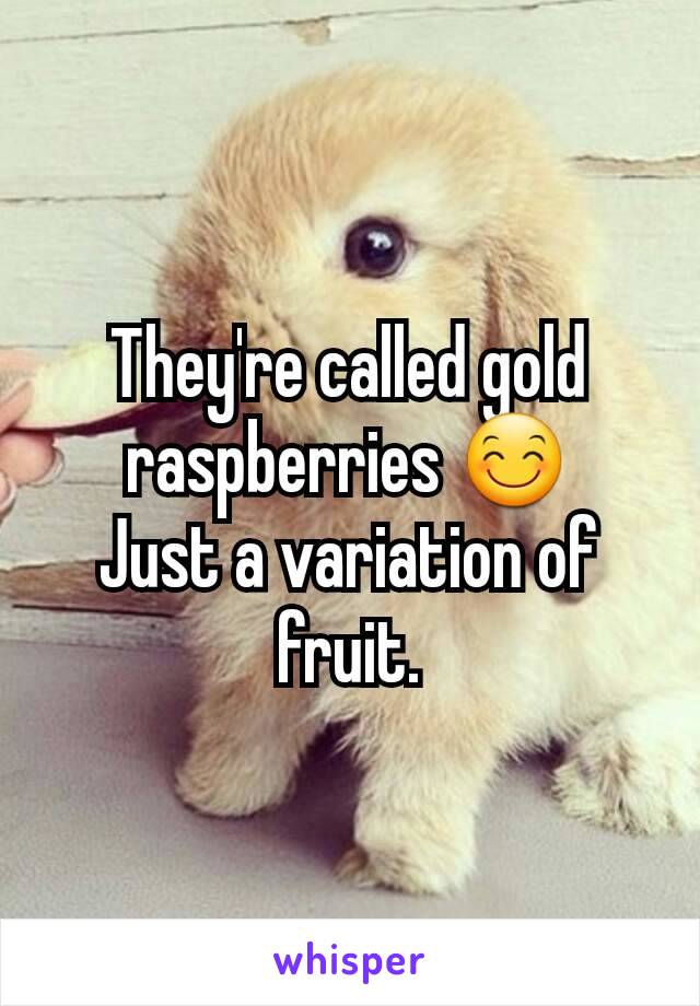 They're called gold raspberries 😊
Just a variation of fruit.