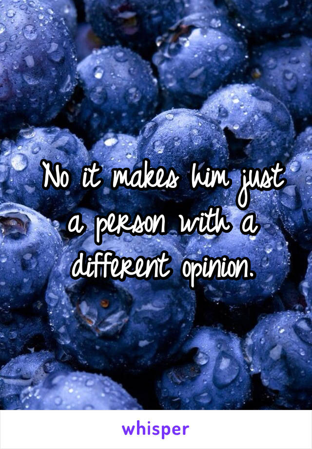 No it makes him just a person with a different opinion.