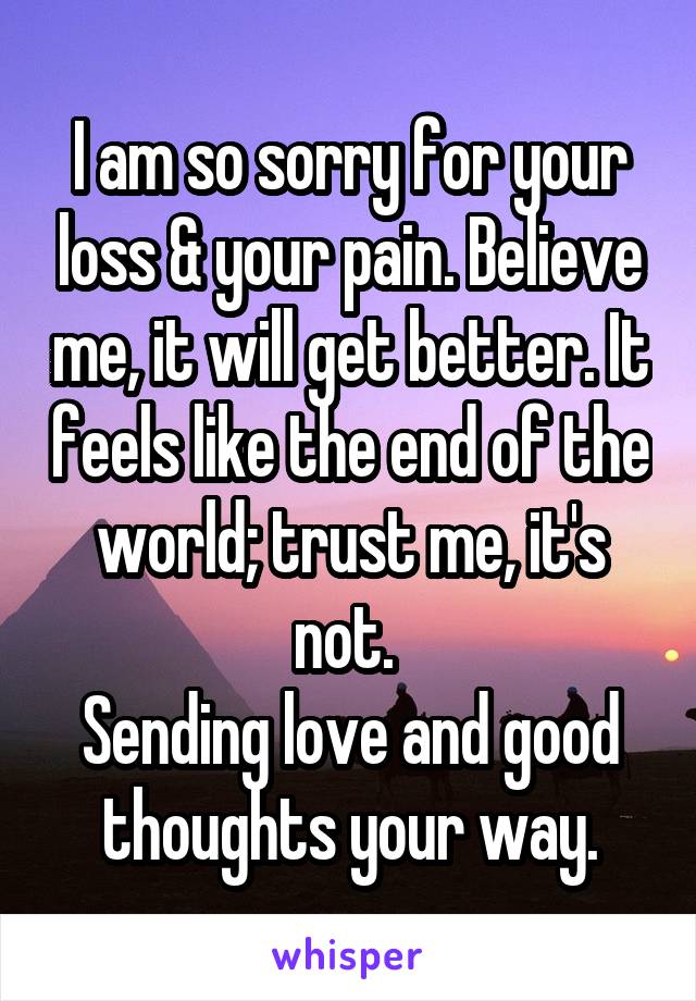 I am so sorry for your loss & your pain. Believe me, it will get better. It feels like the end of the world; trust me, it's not. 
Sending love and good thoughts your way.