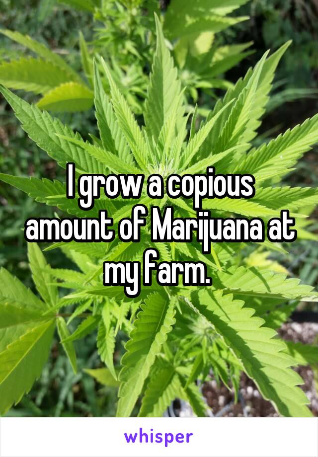 I grow a copious amount of Marijuana at my farm. 