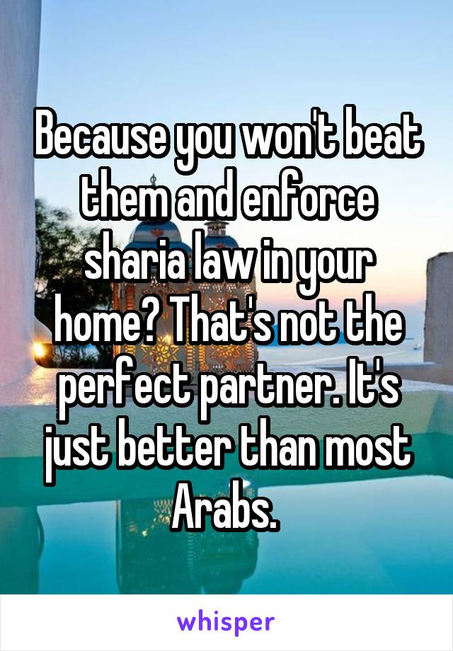 Because you won't beat them and enforce sharia law in your home? That's not the perfect partner. It's just better than most Arabs. 