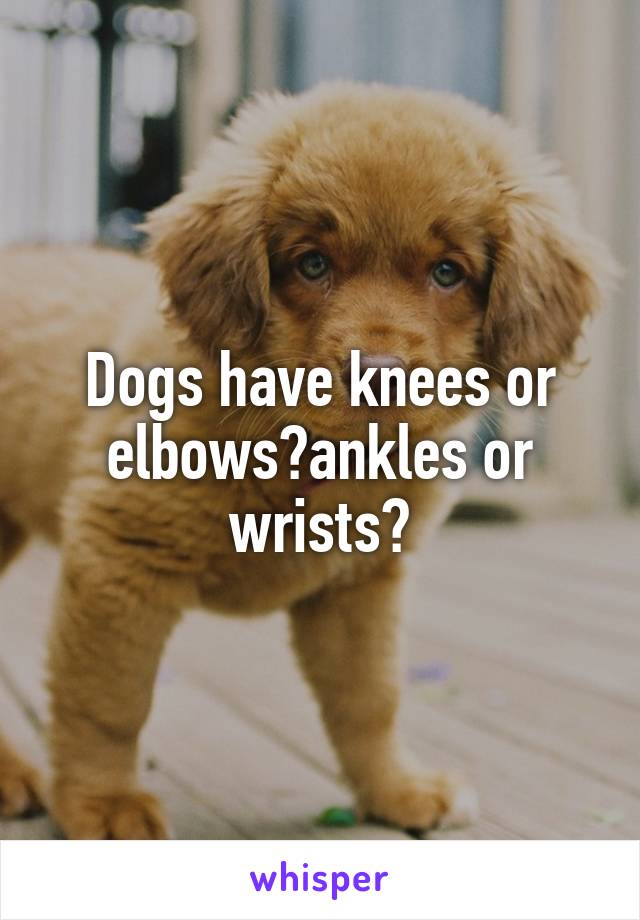 Dogs have knees or elbows?ankles or wrists?