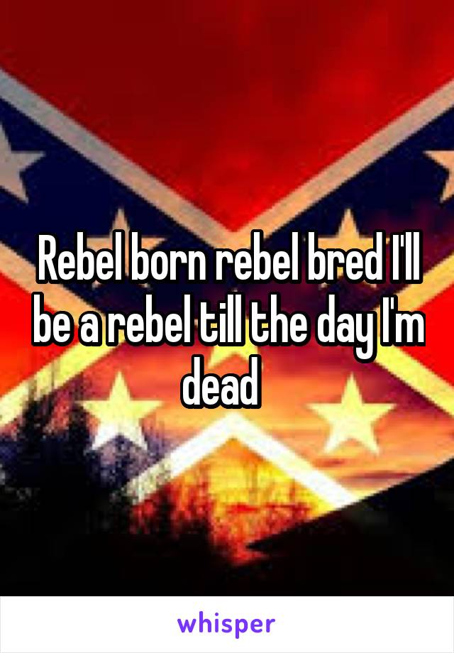 Rebel born rebel bred I'll be a rebel till the day I'm dead  