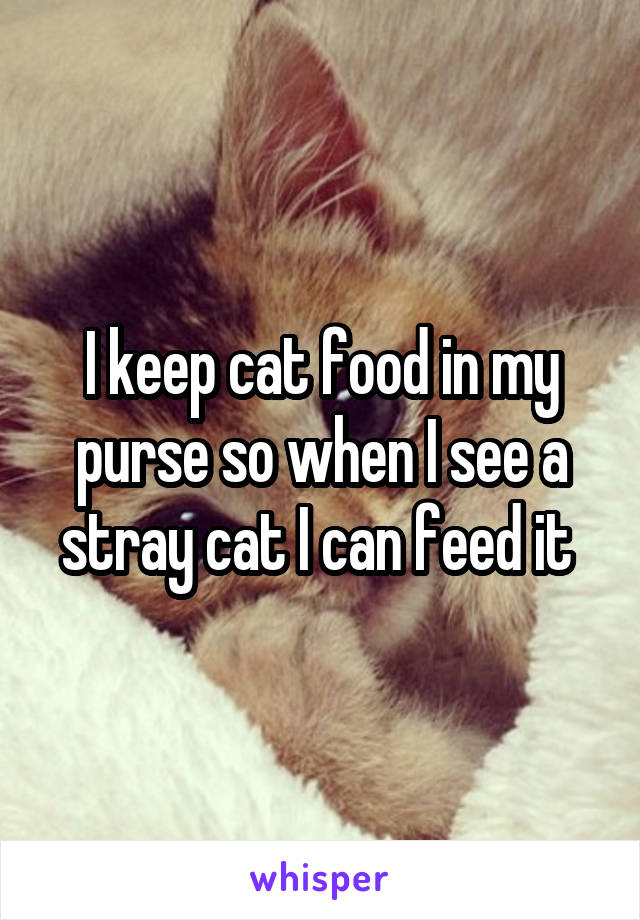 I keep cat food in my purse so when I see a stray cat I can feed it 