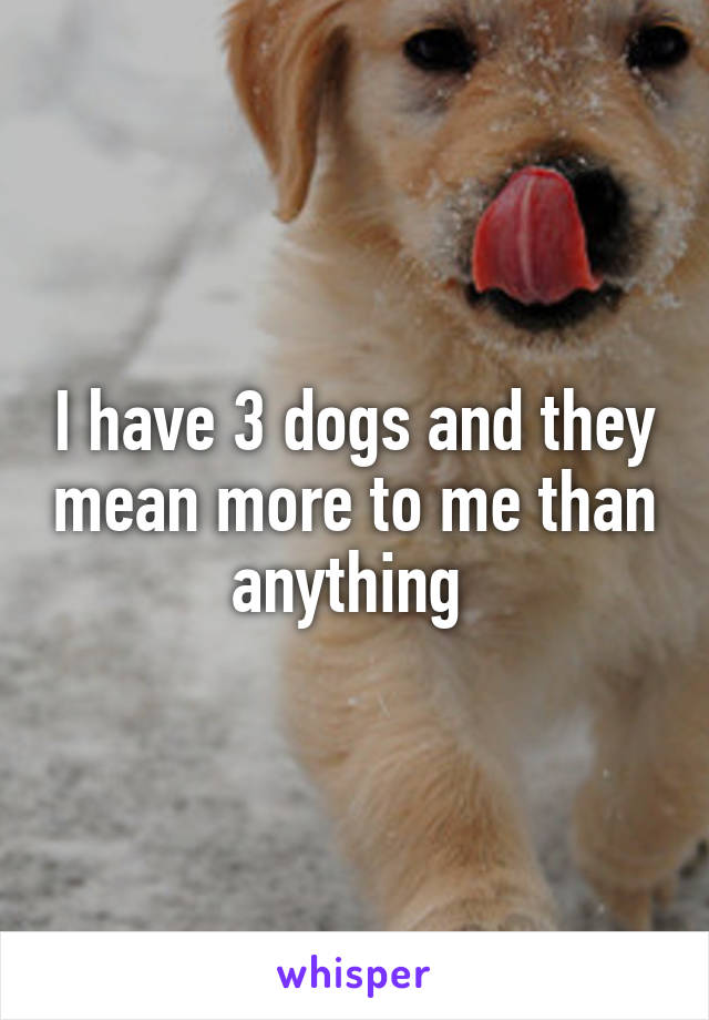 I have 3 dogs and they mean more to me than anything 