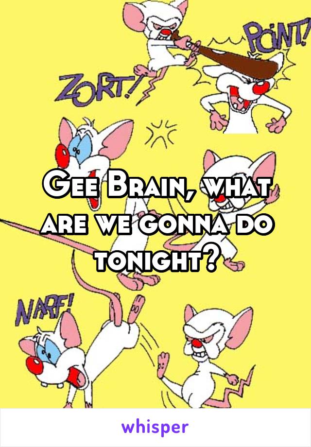 Gee Brain, what are we gonna do tonight?